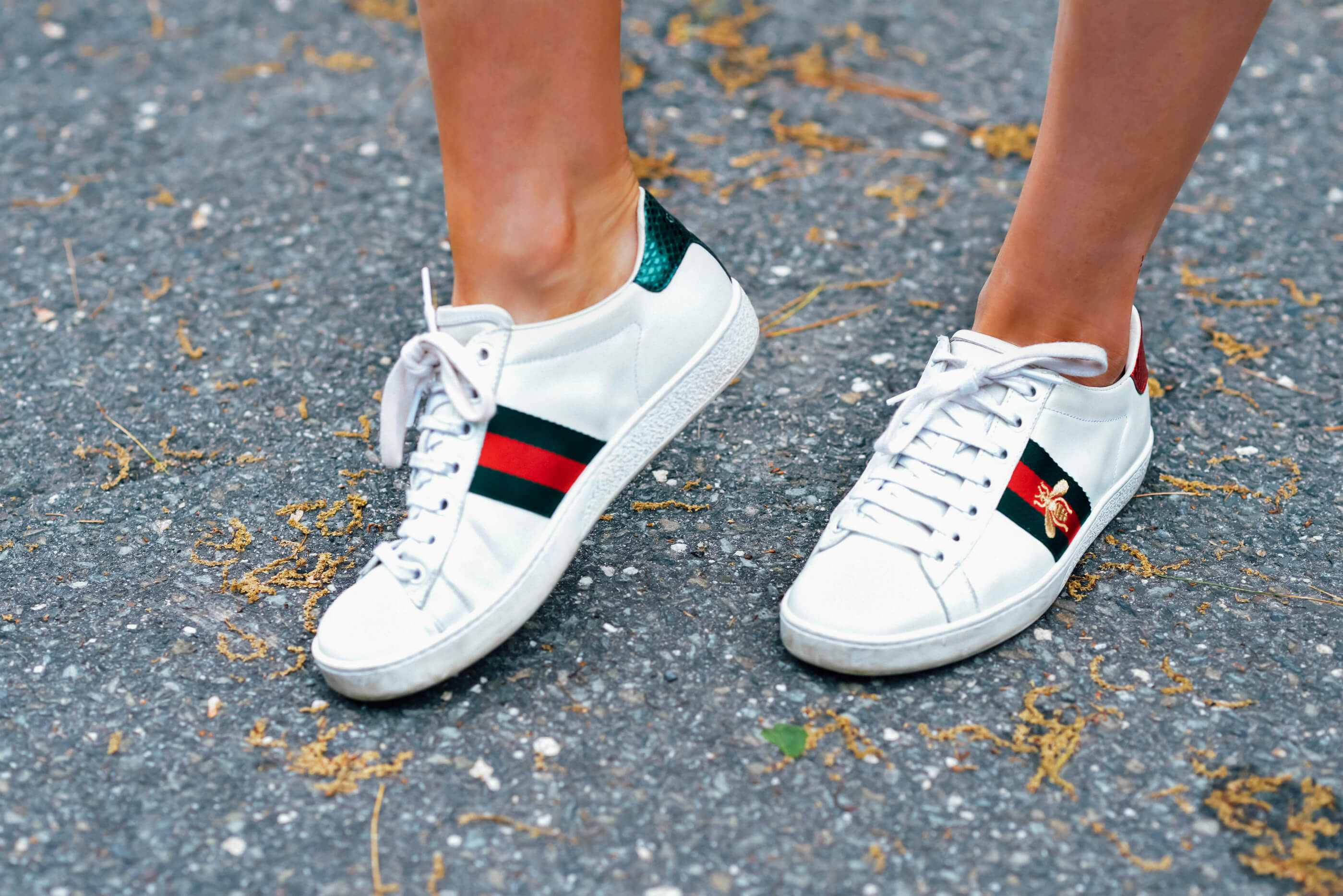 Gucci Ace Sneakers, Tilden of To Be Bright
