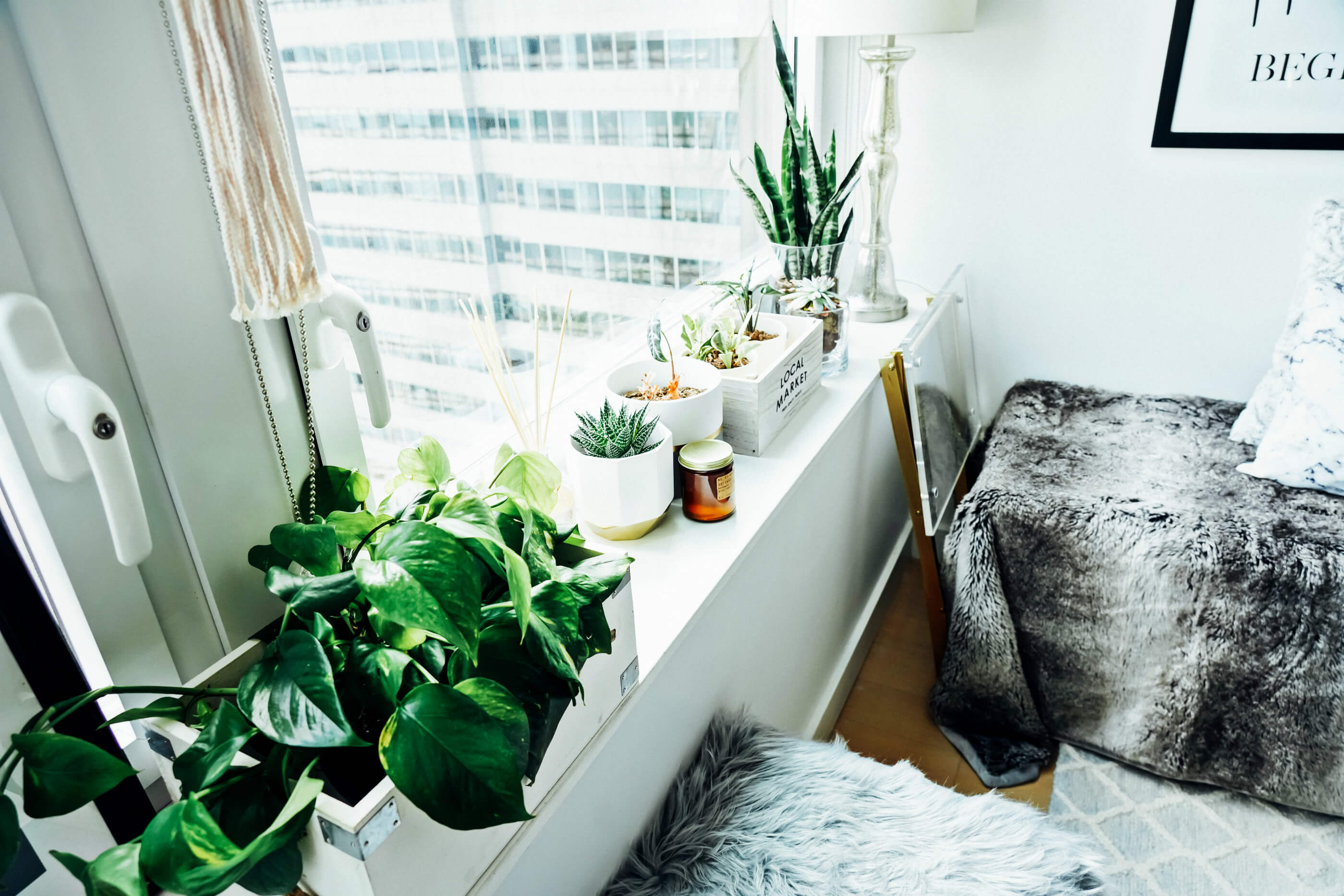Indoor Garden, Plant Display, New Apartment: Living Room Reveal, NYC Apartment Decor, Tilden of To Be Bright