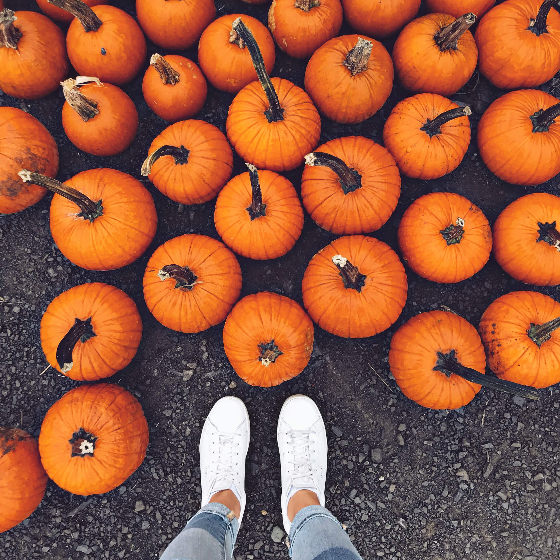 Best Orchards, Cideries, Breweries, & Wineries To Visit In New York/New