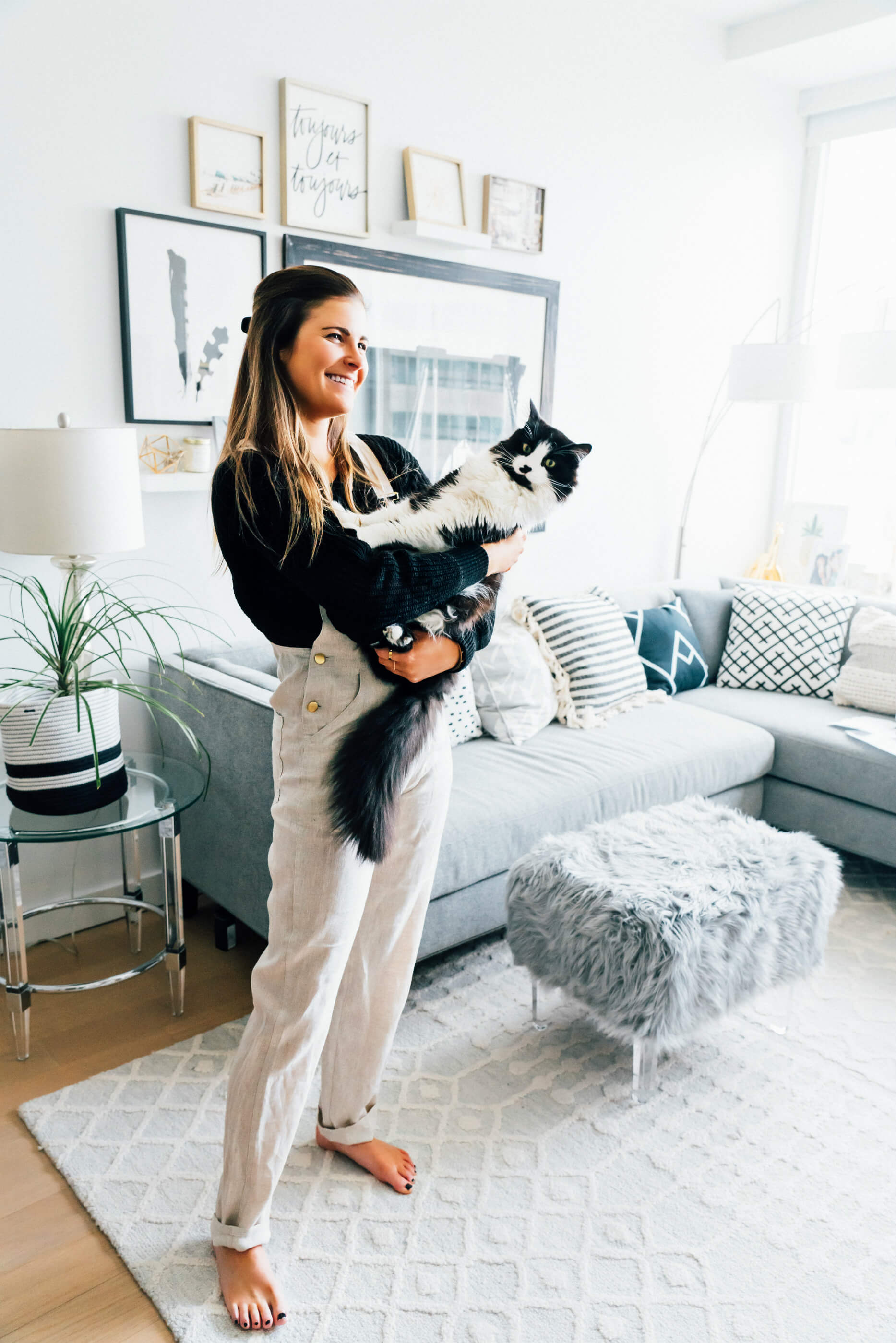 How Chewy.com Has Made Pet Ownership In The City Easier, City Cat Pet, Black & White Long Haired Cat, Tilden of To Be Bright
