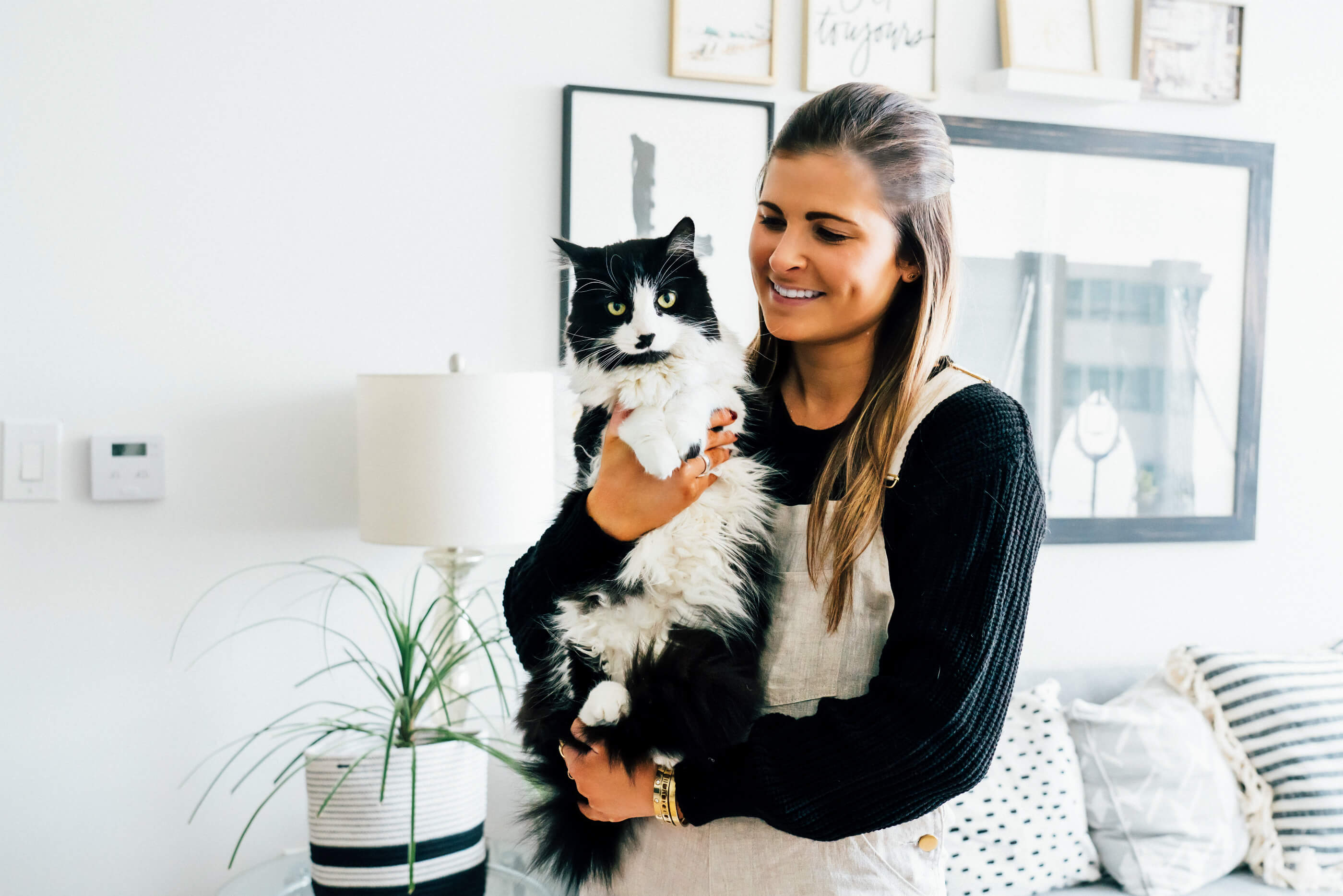 How Chewy.com Has Made Pet Ownership In The City Easier, City Cat Pet, Black & White Long Haired Cat, Tilden of To Be Bright