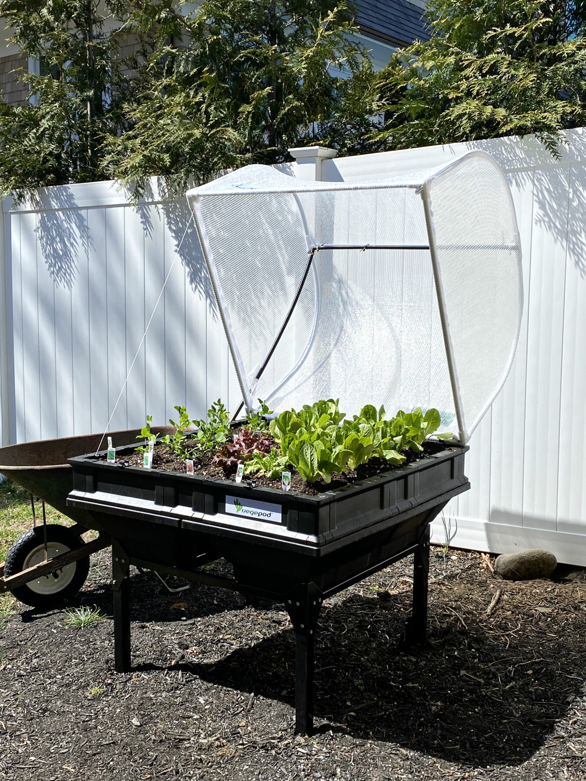 Medium-Standing Vegepod, Outdoor Gardening, Vegetable Gardening, Tilden of To Be Bright