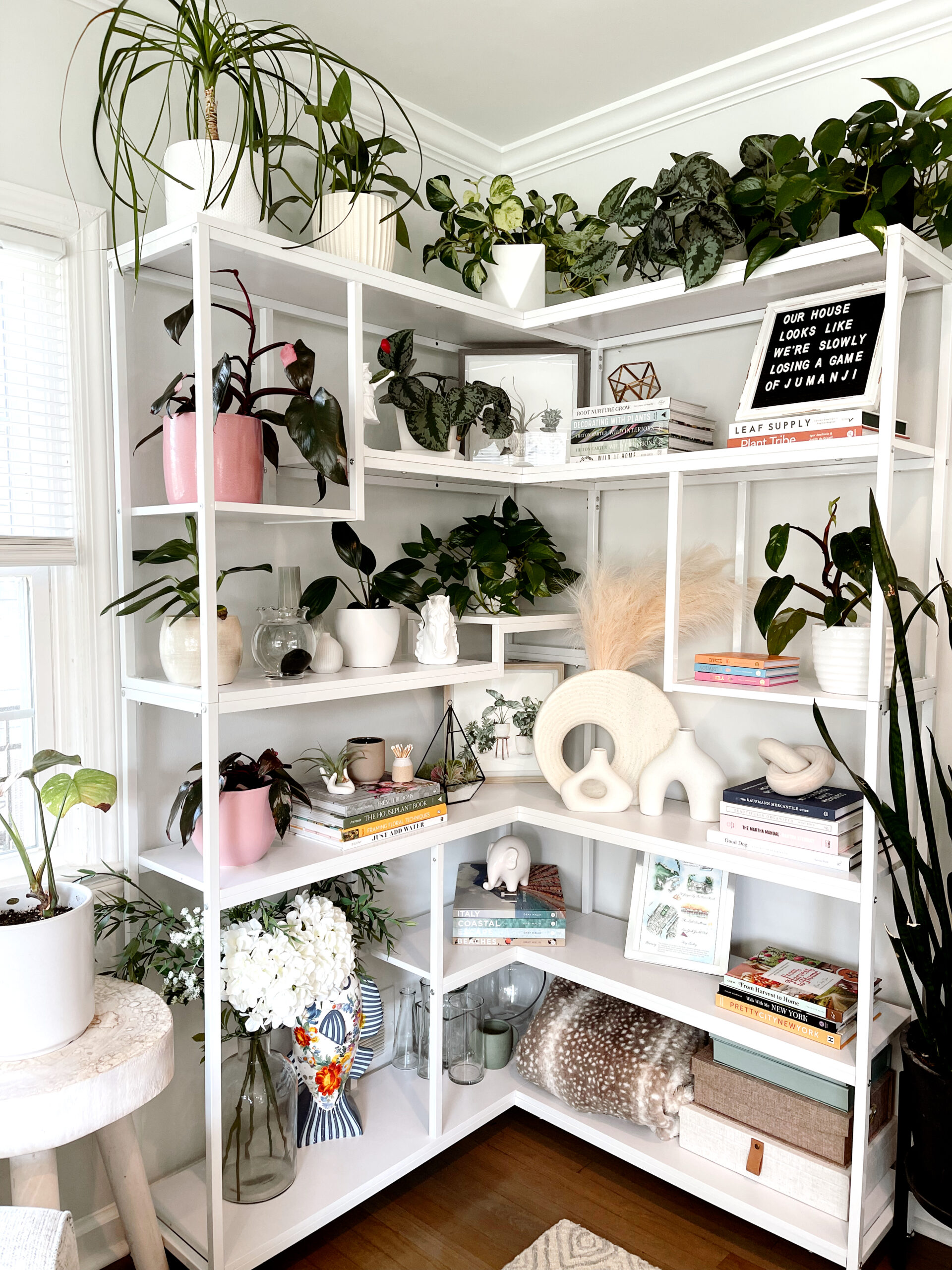 Bookshelf Styling With Plants 
