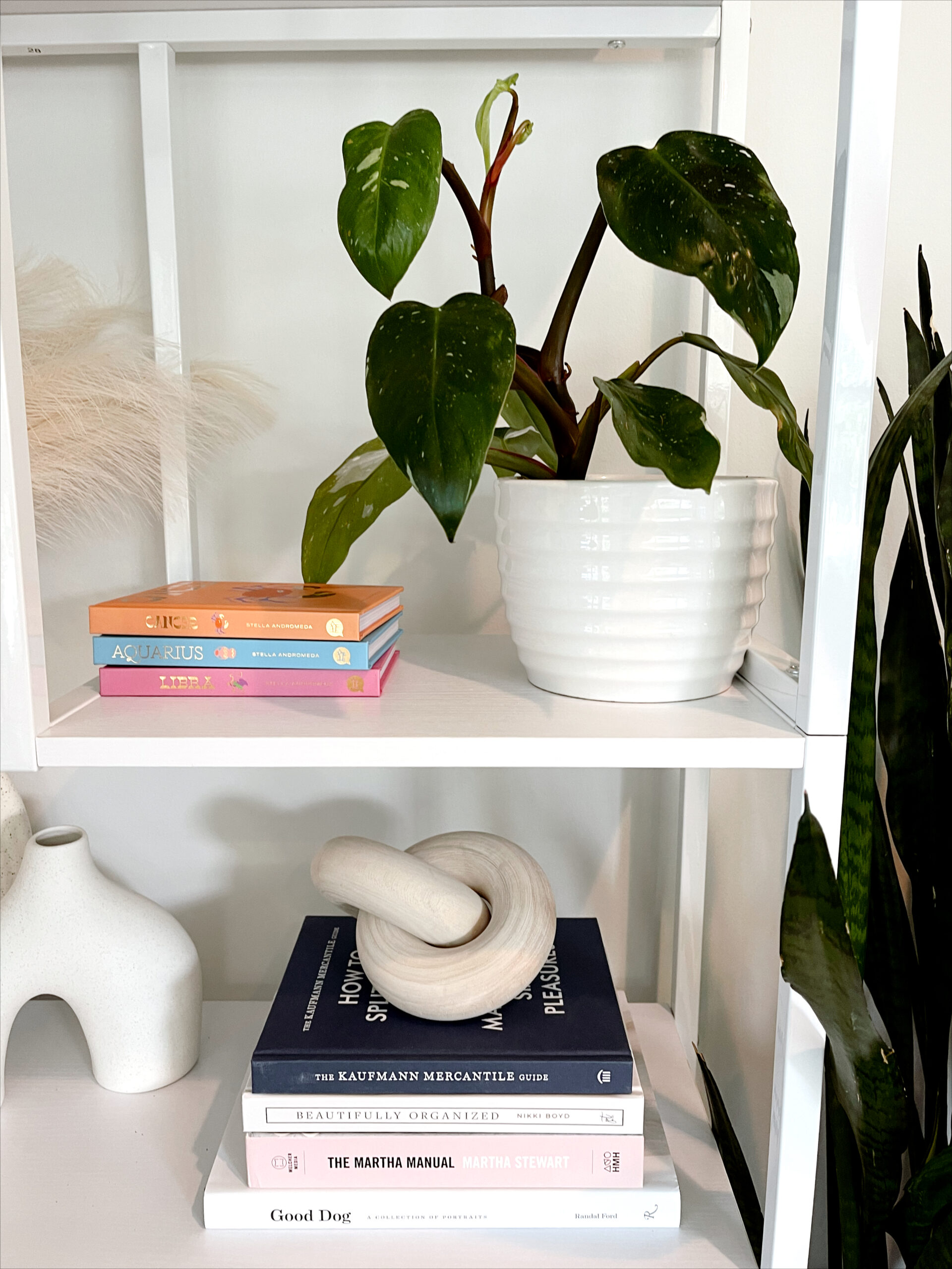 Bookshelf Styling With Plants 