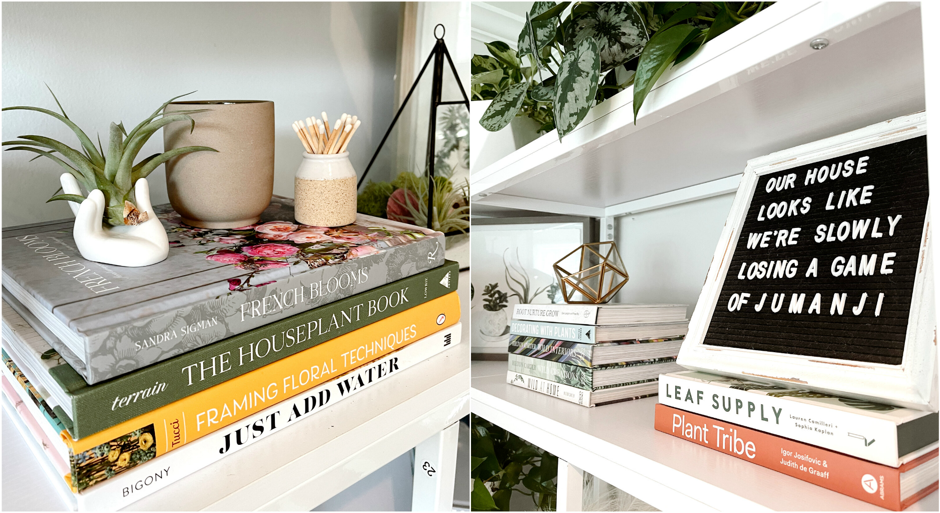 Bookshelf Styling With Plants 